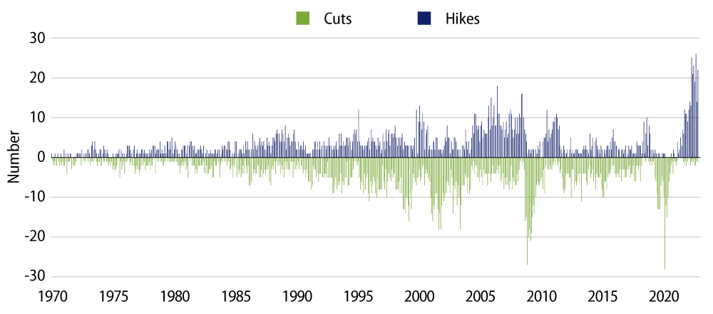 Explore Global Central Bank Actions