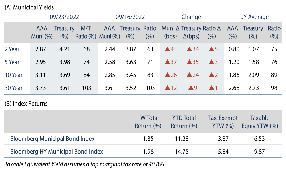 Explore Municipal Bond Yields and Index Returns
