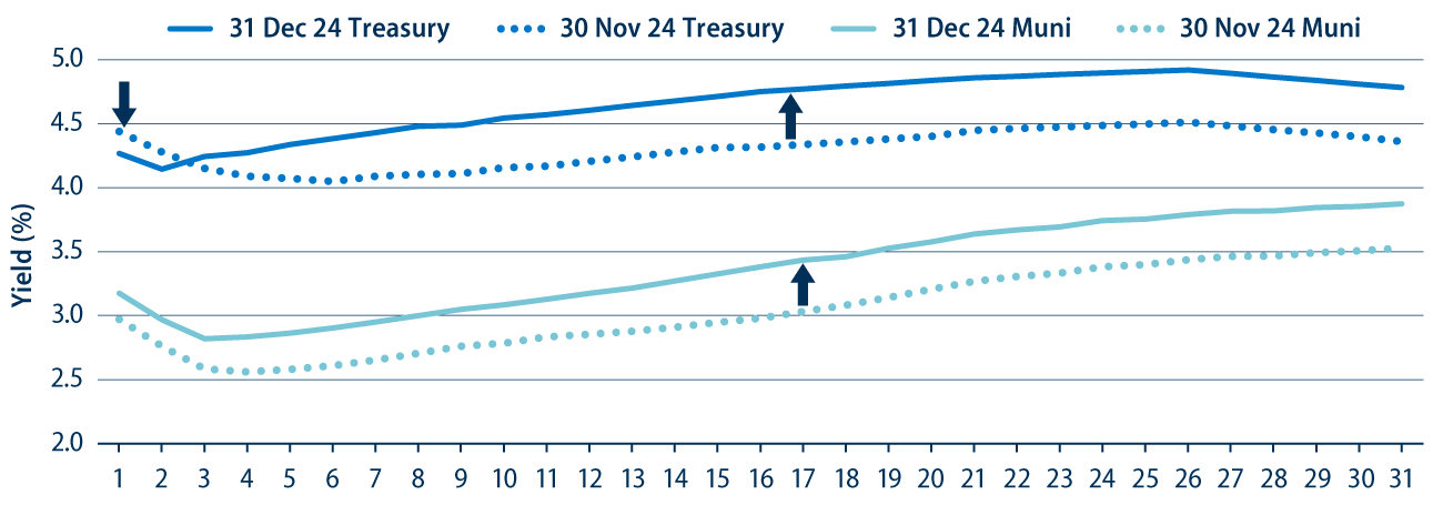 Municipal and Treasury Yield Curves
