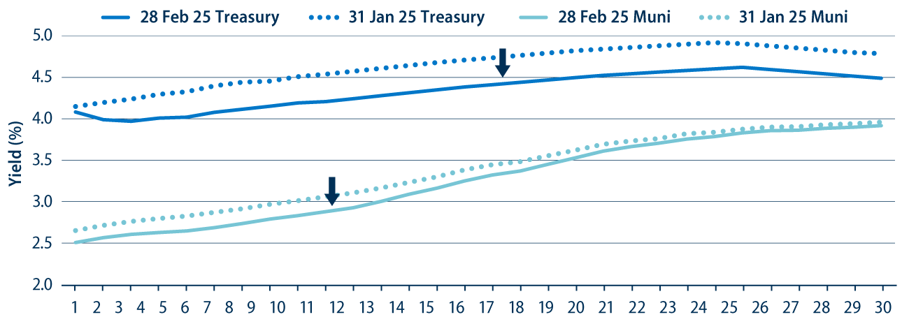 Municipal and Treasury Yield Curves