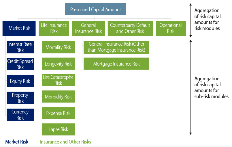 HK RBC Prescribed Capital Amount Risk Modules