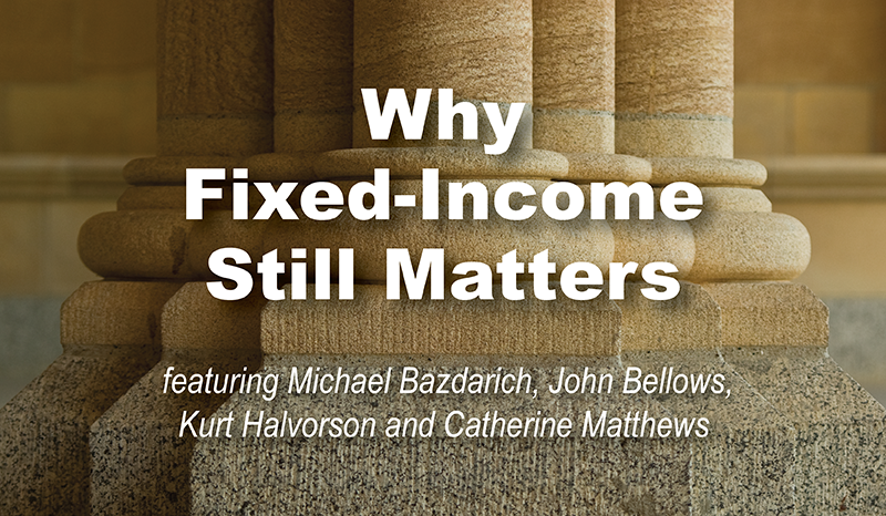 Webcast: why fixed income still matters